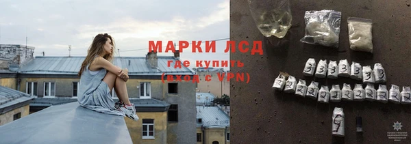 дмт Богданович