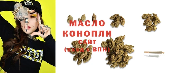 дмт Богданович