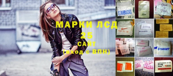 дмт Богданович