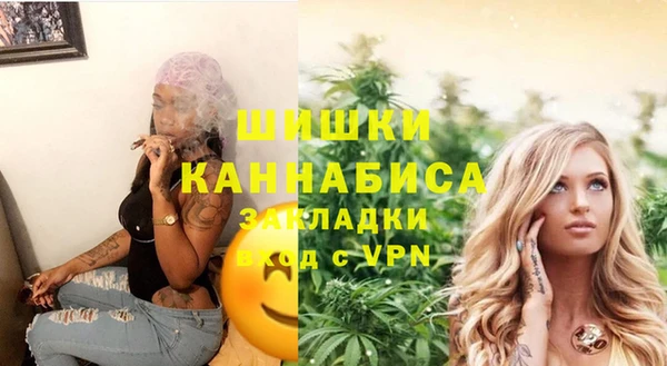 соль ск Богородск