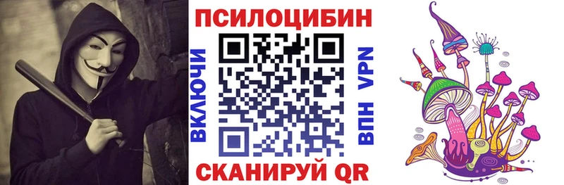 нарко площадка как зайти  Шимановск  Галлюциногенные грибы Magic Shrooms  магазин   