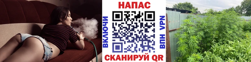 Бошки марихуана ГИДРОПОН  что такое наркотик  Шимановск 