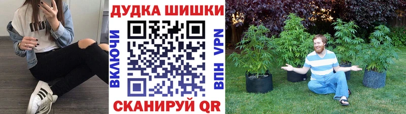 Канабис план Шимановск